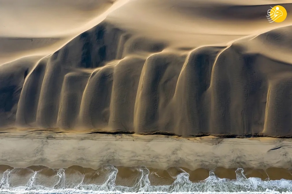 دیدار صحرا و اقیانوس، صحرای نامیب، نامیبیا / دیوید روگ 