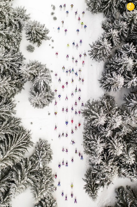   یک رویداد سالانه اسکی در لهستان / دانیل کوزلا