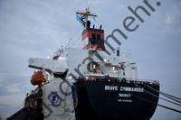 WFP: اولین محموله غلات بشردوستانه اوکراینی عازم شاخ آفریقا شد |