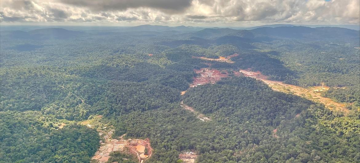 سورینام جنگلی‌ترین کشور جهان است، اما جنگل‌های بارانی بکر آن، از جمله، با استخراج طلا، بوکسیت و کائولن در معرض تهدید هستند.