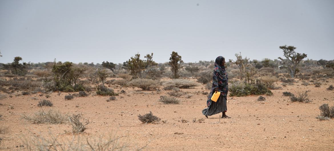 سومالی با خطر قحطی مواجه است