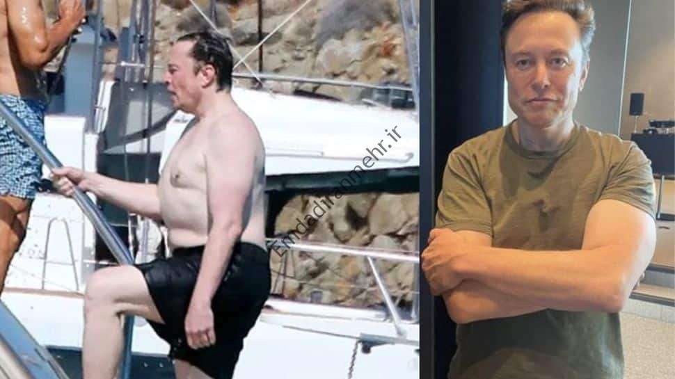 مانند ایلان ماسک آن را از دست بدهید: تناسب اندام - چگونه غول فناوری وزن خود را بیش از 13 کیلوگرم کاهش داد!  |  سلامت نیوز