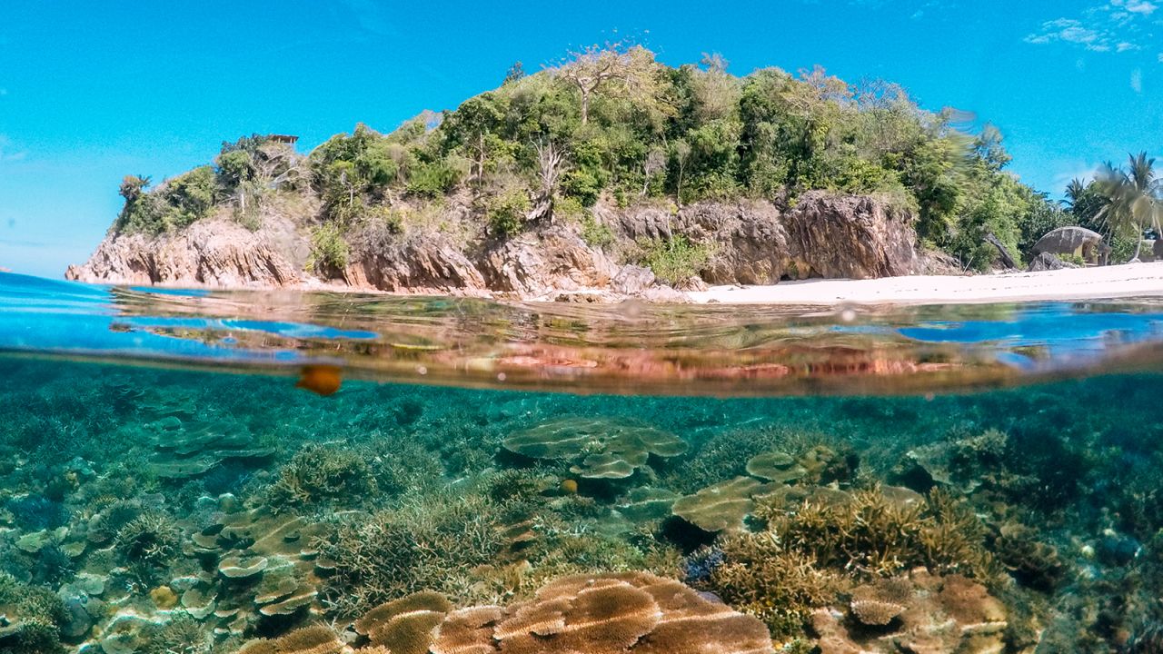 تور سفر تائو پاراو شامل توقف در خلیج‌های دیدنی و صخره‌های مرجانی است.