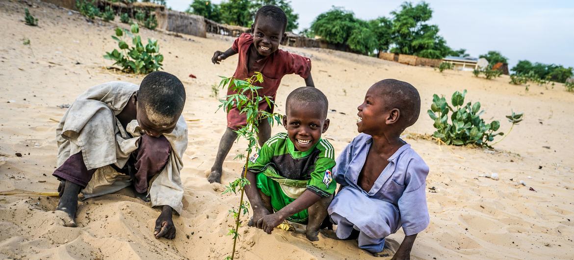 در منطقه احیای جنگل مرآ، چاد، کودکان در حال کاشت نهال اقاقیا برای آینده هستند.  در 50 سال گذشته، حوضه دریاچه چاد از 25000 کیلومتر مربع به 2000 کیلومتر مربع کاهش یافته است.